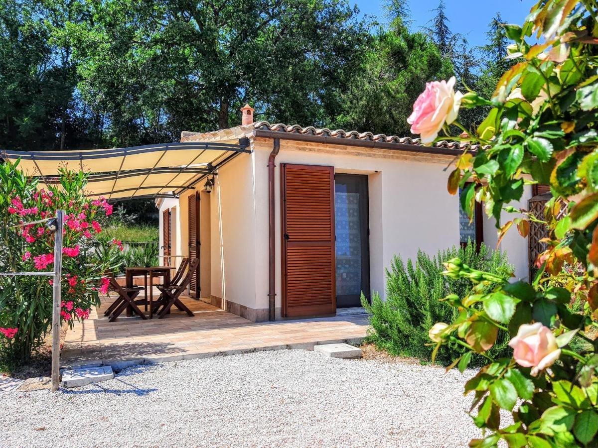 Agriturismo Rosa Antica Monte San Vito Екстер'єр фото