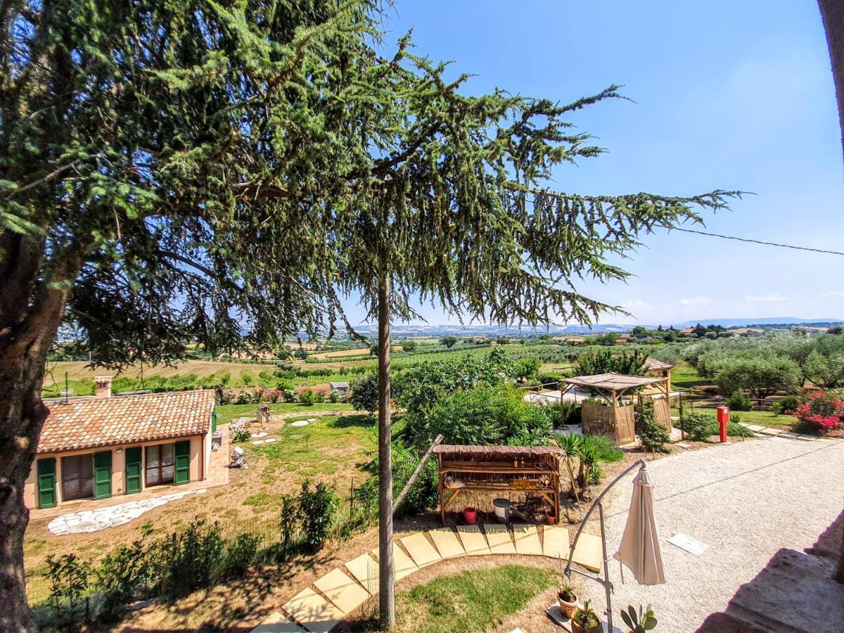 Agriturismo Rosa Antica Monte San Vito Екстер'єр фото