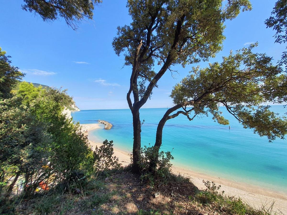 Agriturismo Rosa Antica Monte San Vito Екстер'єр фото