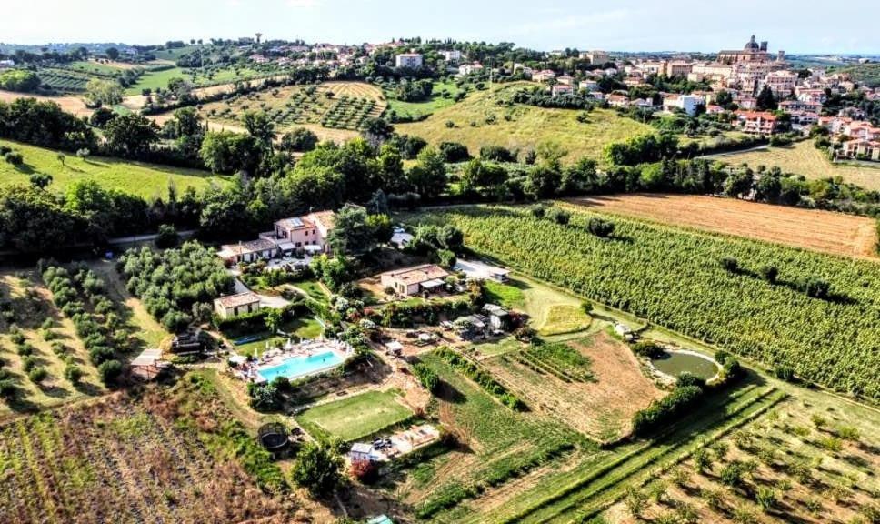Agriturismo Rosa Antica Monte San Vito Екстер'єр фото