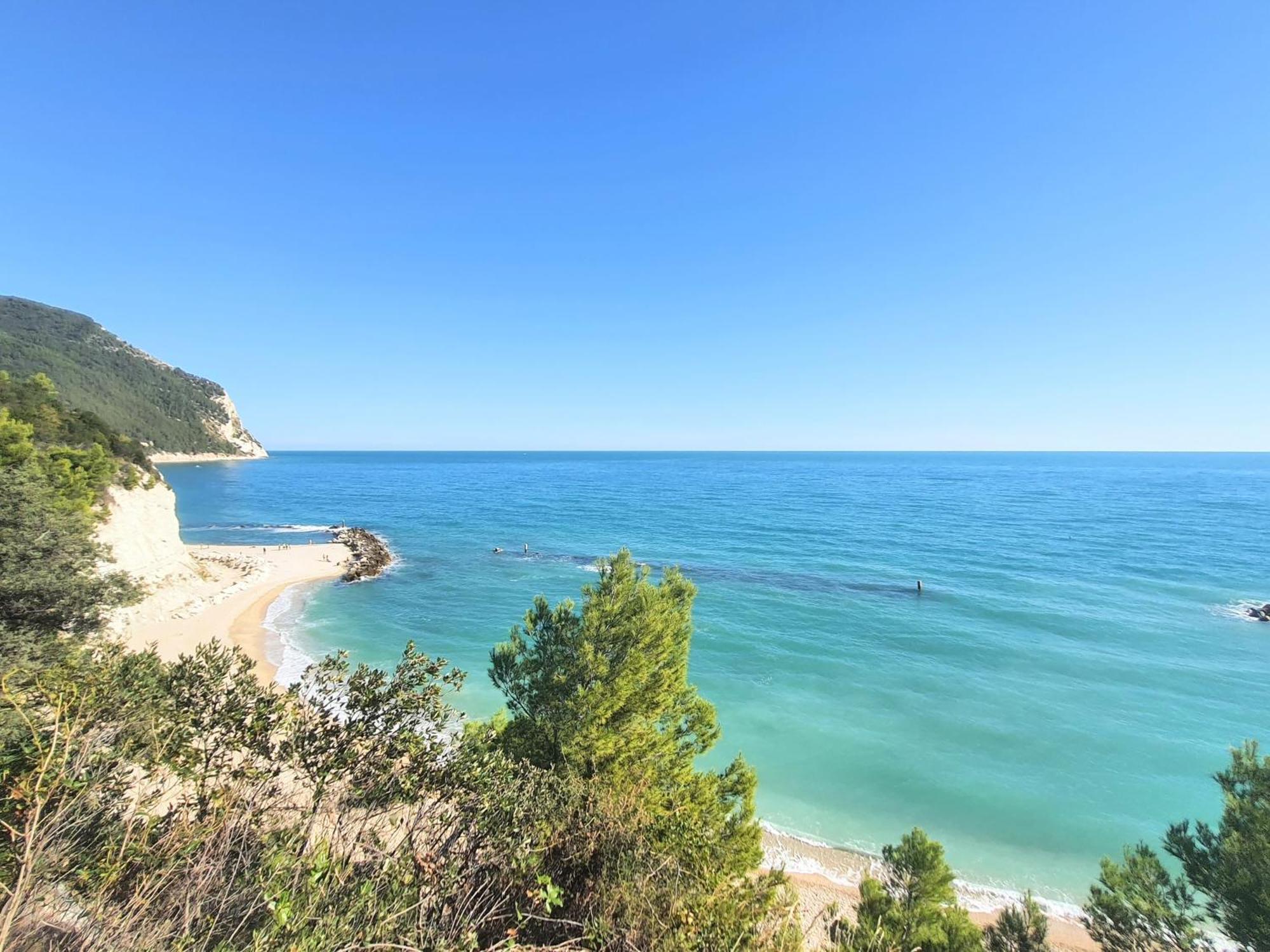 Agriturismo Rosa Antica Monte San Vito Екстер'єр фото