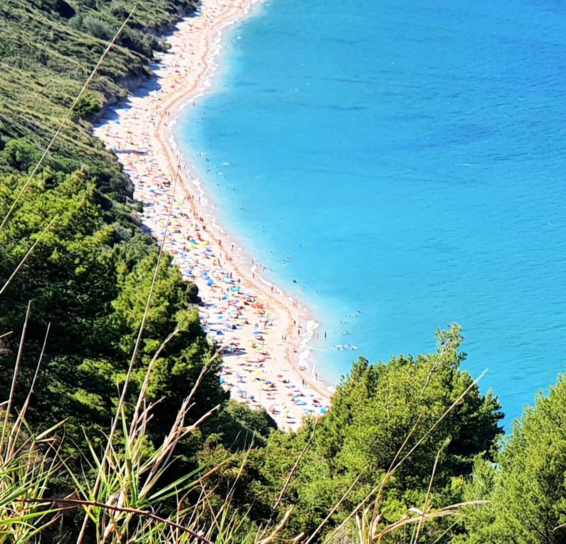 Agriturismo Rosa Antica Monte San Vito Екстер'єр фото