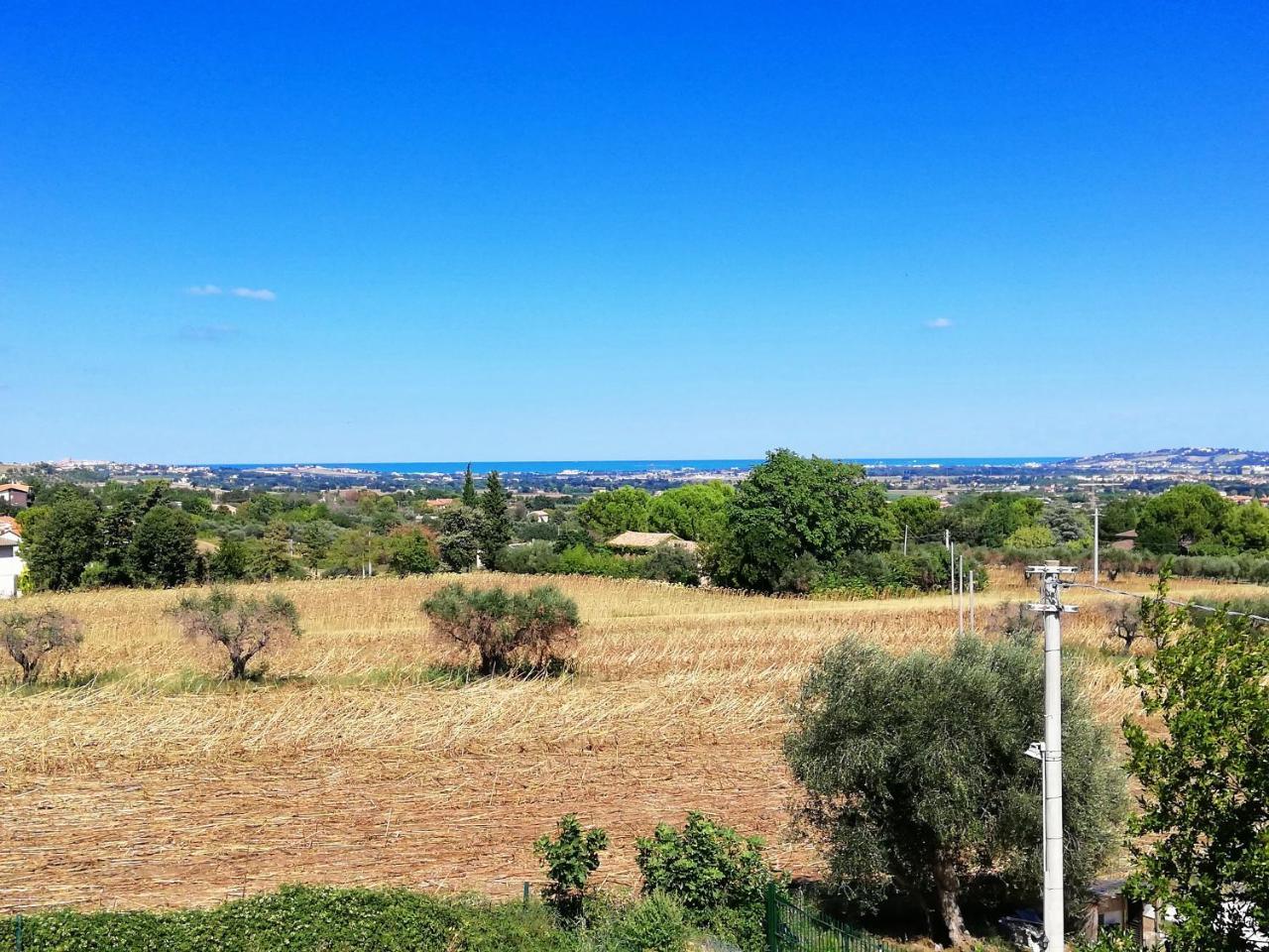 Agriturismo Rosa Antica Monte San Vito Екстер'єр фото