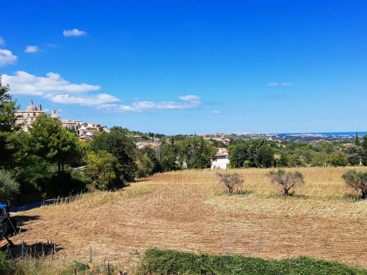 Agriturismo Rosa Antica Monte San Vito Екстер'єр фото