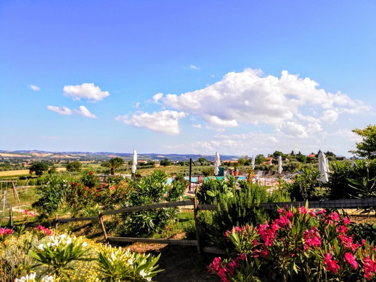 Agriturismo Rosa Antica Monte San Vito Екстер'єр фото